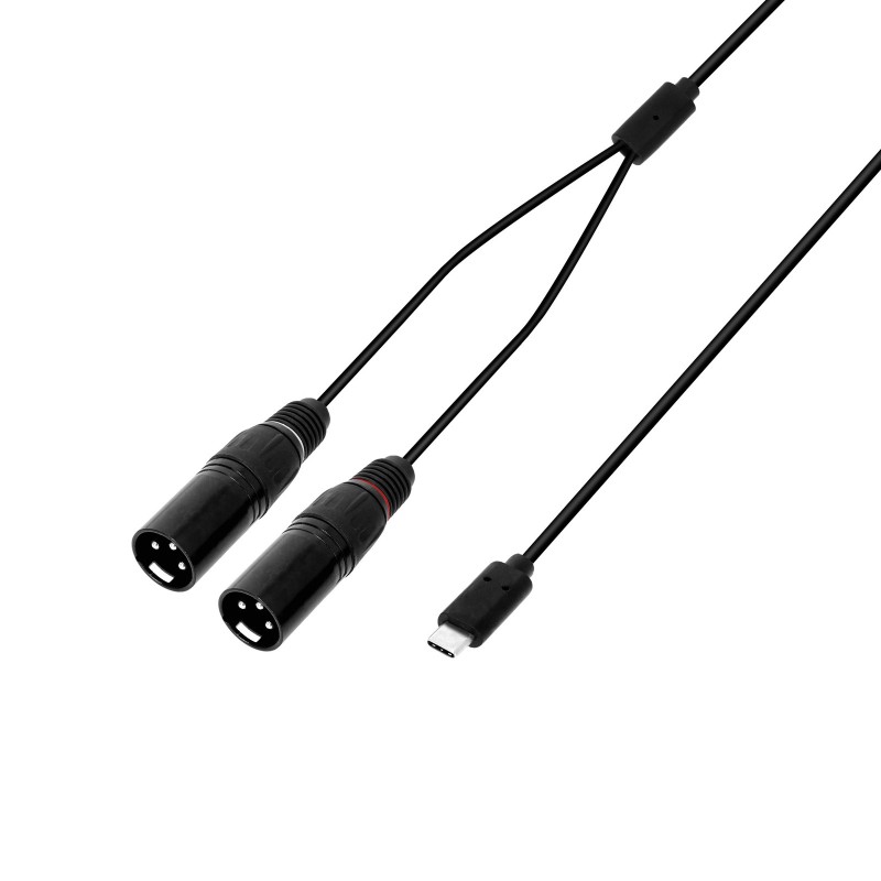 Cabo Y USB-C | 2 x XLR macho x USB-C | 1,5 m