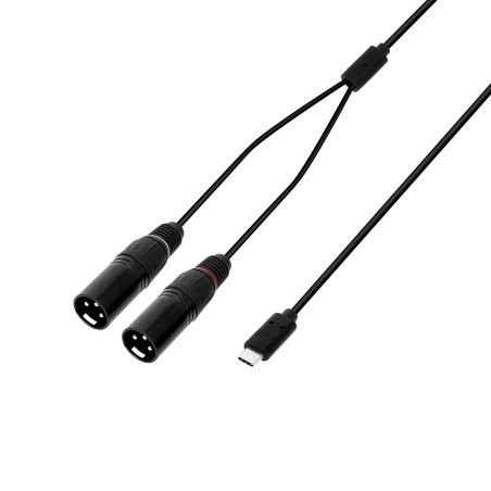 Cabo Y USB-C | 2 x XLR macho x USB-C | 1,5 m