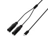 Cabo Y USB-C | 2 x XLR macho x USB-C | 1,5 m
