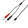 Cabo Y USB-C | 2 conectores TS macho x USB-C | 1,5 m